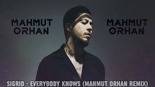 Sigrid  Everybody Knows Mahmut Orhan Remix [upl. by Dot]