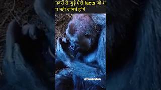 जानवरों के अनोखे facts🤔factsviews Officialtop10x8sfactsinhindi [upl. by Araiet368]