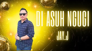 Di Asuh Ngugi  Jay J MTV Karaoke [upl. by Rucker900]