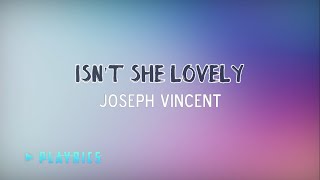 Isnt She Lovely Joseph Vincent  Lyrics Cover [upl. by Wareing]