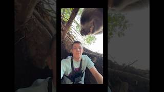 This man shows his bravery vs a hungry bear🐻🐻🤤🤯bears subscribe [upl. by Viguerie]