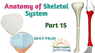 Anatomy of Skeletal System Tibia amp Patella Interesting Video with Amharic Speech Part 15 [upl. by Lolly]