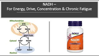 NADH  Energy Drive Concentration amp Chronic Fatigue Syndrome [upl. by Yusuk]