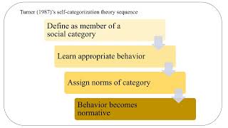 Selfcategorization theory [upl. by Etessil]