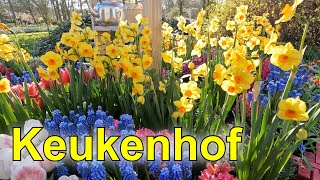 Keukenhof  The most beautiful spring garden in the world  2023 part 1 [upl. by Moriyama]