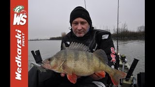 Bardzo duże okonie złowione w lutym na spinning z kajaka Gumowe przynęty i czeburaszka [upl. by Qooraf805]