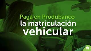 Paga en Produbanco la matriculación vehicular [upl. by Aromat]