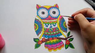 Zentangle Art  How to draw zentangle owl [upl. by Tressia557]