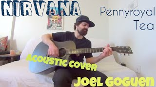 Pennyroyal Tea  Nirvana Acoustic Cover by Joel Goguen [upl. by Artemahs]