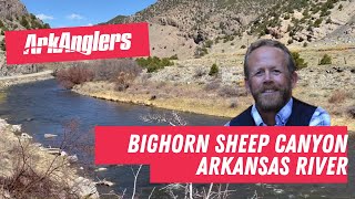 ArkAnglers Arkansas River Fishing Report from Bighorn Sheep Canyon [upl. by Kaja]