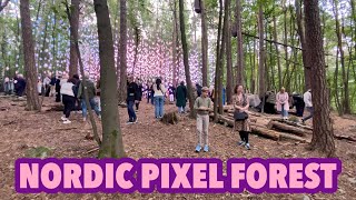 Nordic Pixel Forest [upl. by Attenrad]