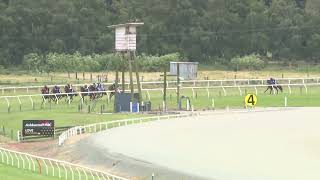 Ashburton Trials 27 11 2024 Heat 7 [upl. by Faubert427]