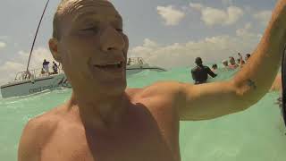 Swimming with Stingrays  Raw Footage 2024 [upl. by Rosenbaum]