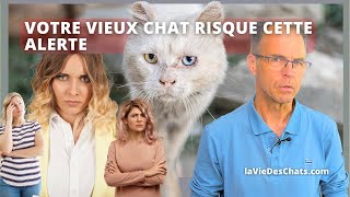 VOTRE VIEUX CHAT RISQUE CETTE ALERTE APRÈS SES 10 ANS [upl. by Nerrawed]