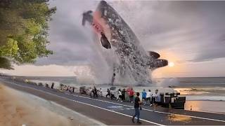 20 Times Megalodon was Caught on Camera and Spotted in Real Life [upl. by Nnaeinahpets]