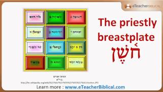 What are Urim and the Thummim  Biblical Hebrew QampA with eTeacherBiblicalcom [upl. by Kcirb]