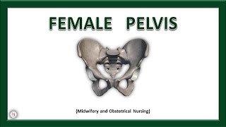 FEMALE PELVIS  Anatomy  Bones  Ligaments  Joints  True amp False Pelvis  The Nurses Station [upl. by Mahgirb]