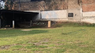 Khasi Hills Archery Sports Institute1st Round 7052024 [upl. by Ainslee770]