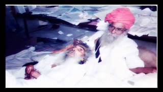 True Sikh True hero Bhagat Puran Singh Ji dedication video 1904 1992flv [upl. by Eleazar]