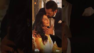 Ruaan NewSong LyricalSong Tiger3Song SalmanKhan KatrinaKaif Pritam ArijitSingh IrshadKamil [upl. by Alemaj]