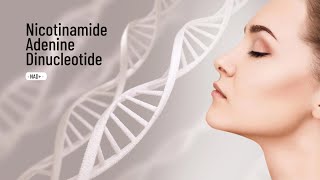 What does NAD do Nicotinamide adenine dinucleotide efficacy [upl. by Madi322]