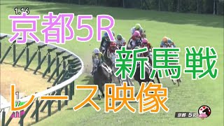 1029 京都5R新馬戦レース映像 [upl. by Nehtiek]