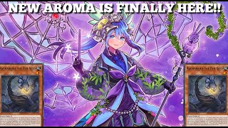 NEW AROMA CARDS FINALLY Plus Ragnaraika Combo Engine  Yugioh Master Duel [upl. by Doroteya]