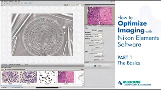 How to Optimize Imaging with Nikon Elements Software Part 1 [upl. by Miarzim]