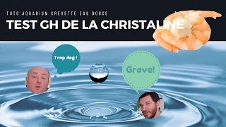 Tester le GH de la CHRISTALINE pour mon AQUARIUM CREVETTE tropicale [upl. by Hibbitts]