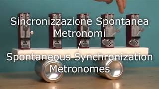 Sincronizzazione Spontanea Metronomi  Spontaneous Synchronization Metronomes [upl. by Angelle51]