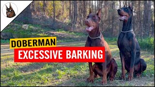 The Distinctive Doberman Barking Unveiling their Unforgettable Vocals [upl. by Adnopoz]