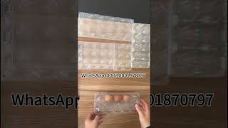 PET egg tray thermoforming machine was finished installation in Indonesiaeggtray thermoforming [upl. by Ecyac986]