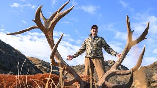 Hunting abroad for the first time Steven’s Red stag hunt [upl. by Dupin]