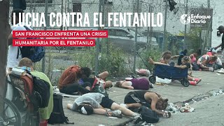 San Francisco y la Epidemia del Fentanilo Una Batalla contra la Adicción y la Muerte [upl. by Rafaelia]