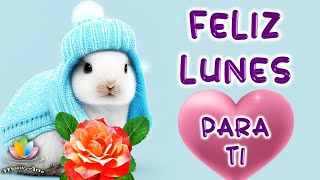 FELIZ LUNES con Lindo video de buenos días y Frases bonitas e Imágenes bonitas Ten un excelente día [upl. by Marline636]