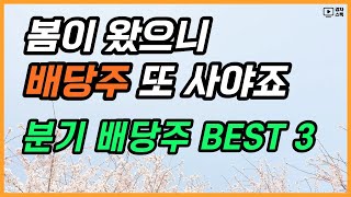 24년 1분기 주목해볼 분기배당주 BEST 3 [upl. by Anatsirhc915]