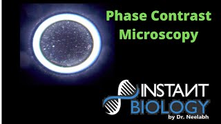 Phase Contrast Microscopy [upl. by Emmaline743]