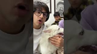 Vaccination Dog 😱😭shortsfeed sauravjoshivlogs viralshorts trendingshortsyoutubeshorts shorts [upl. by Eilarol]