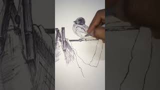 Hatching Sketch hatching drawing subscribe [upl. by Priscella]