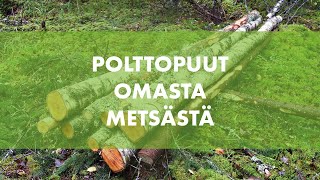 Polttopuut omasta metsästä [upl. by Anahsat]