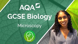 AQA GCSE Biology Microscopy [upl. by Eadrahs]