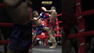 🇹🇭 Young Thai Fighters Muay Thai Highlights  Knockout Action in the Ring combatsport muaythai [upl. by Primrosa]