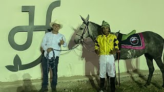 TERCIA EXTREMA DE MULAS EN FRESNO HIPÓDROMO 🔥🐴🤠 [upl. by Herbert]