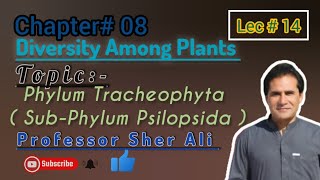 Phylum Tracheophyta Psilopsida chapter 8th by Professor Sher Ali [upl. by Fotinas]