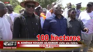 CÔTE DIVOIRE M KOBÉNAN KOUASSI ADJOUMANI visite une rizière [upl. by Lenoel812]