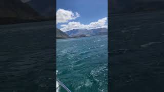 Cruise on Lake Wanaka to Stevensons Island in beautiful conditions nzadventure cruise wanaka [upl. by Aisatsanna125]