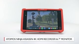 HandsOn Review Atomos  Ninja Assassin [upl. by Pressman]