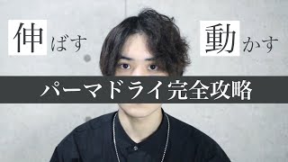 【印象の違い】メンズパーマの乾かし方2パターンを美容師が徹底解説【くせ毛もOK】 [upl. by Nnadroj]