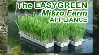 EasyGreen Automatic Sprouter Mikro Farm [upl. by Iztim621]