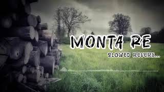 MONTA RE 😌❤️  SLOWED REVERB  hindi song lofi [upl. by Garnes]